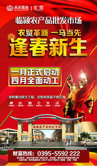 臨潁農(nóng)貿(mào)批發(fā)市場廣告設(shè)計與制作全攻略